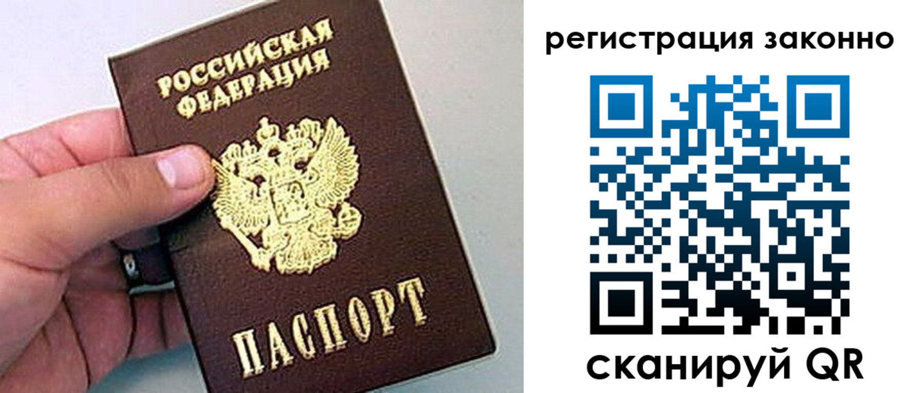 временная регистрация поиск в Железногорске